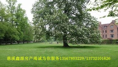 康桥家园4楼117平三室两厅两卫直接房源