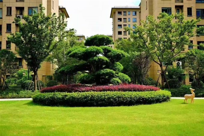 佳洲锦苑洋房143平方