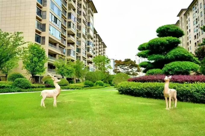 ✔佳洲锦苑✔多套，捡漏