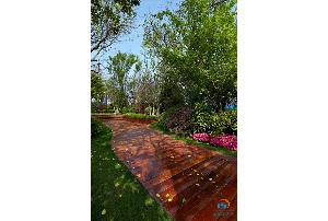 龙湖香醍漫步 实景图