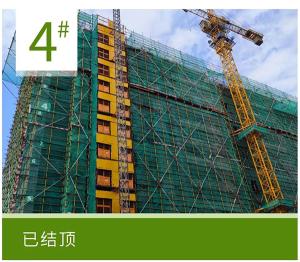 金辉•辉逸云庭