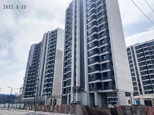 金辉•辉逸云庭