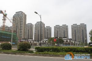 金地鸿悦 效果图