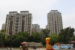 金地鸿悦 效果图