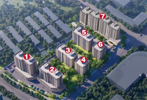 掌上明珠 效果图