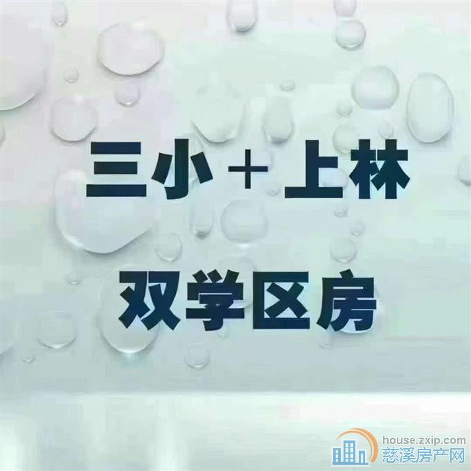 单价14000多 泰悦公寓实验三小+上林