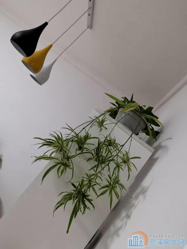出售群英中心公寓精装修37万