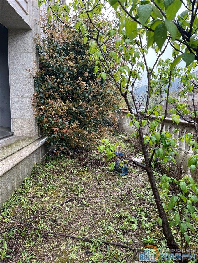 稀缺 峙山庄园 别墅，二通三 前后花园