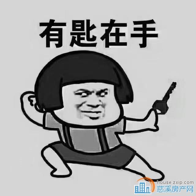 江南大院·洋房边套中低层143平230万