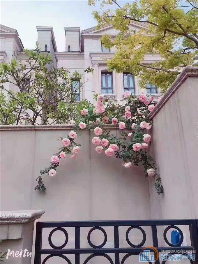 上林原著别墅486平方+3车位直接房源