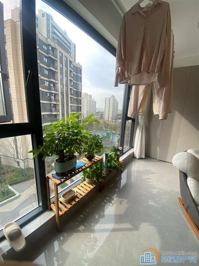 江樾潮启   精装