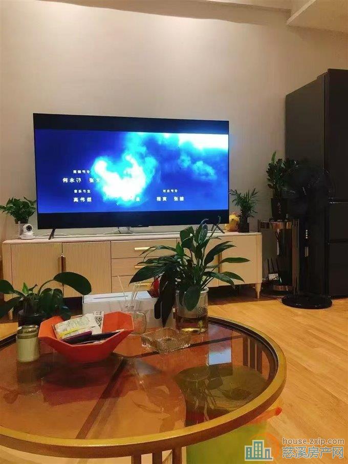 海铂中心朝南61平