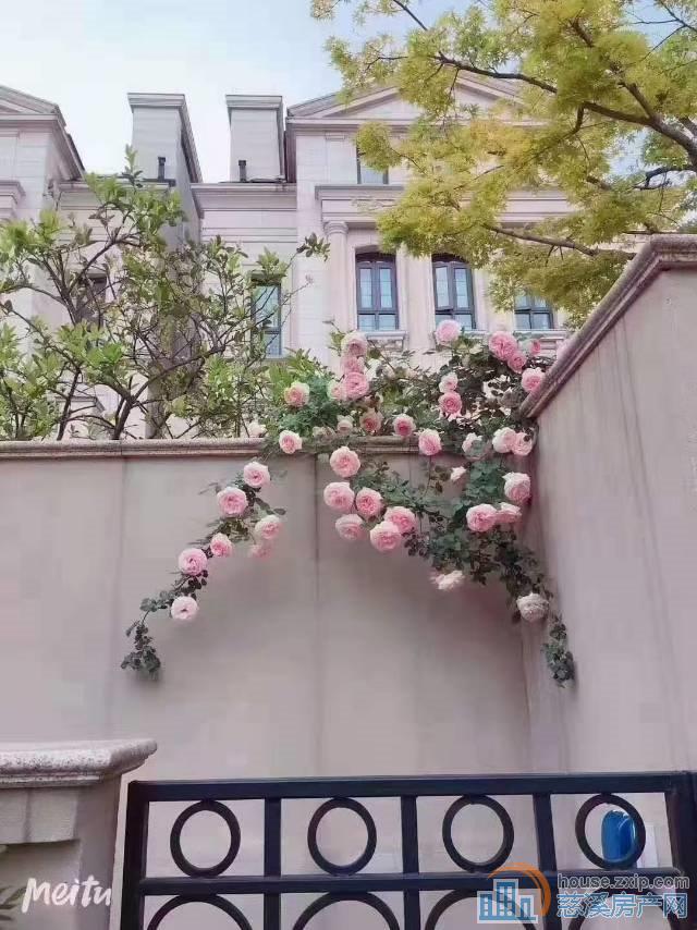 上林原著别墅486平方满2年718万