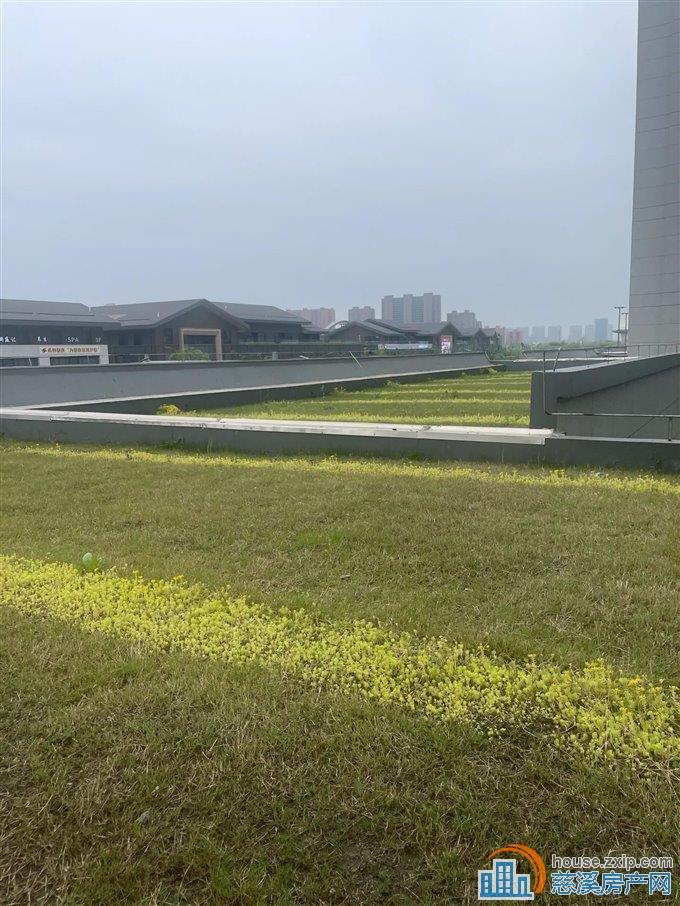 新河坊洋房 泊誉里 楼.王位置 大露台