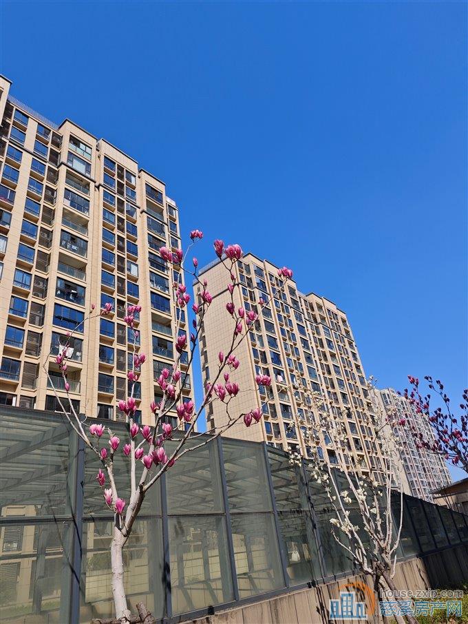 观湖佳苑90平+储藏间一口价116万直接