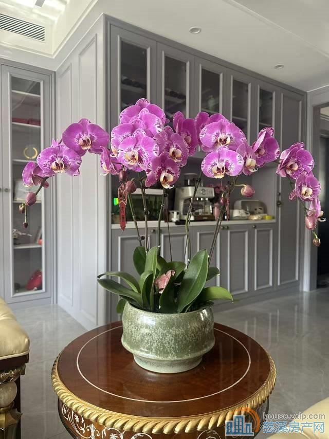 锦尚府上叠185.8平方豪装