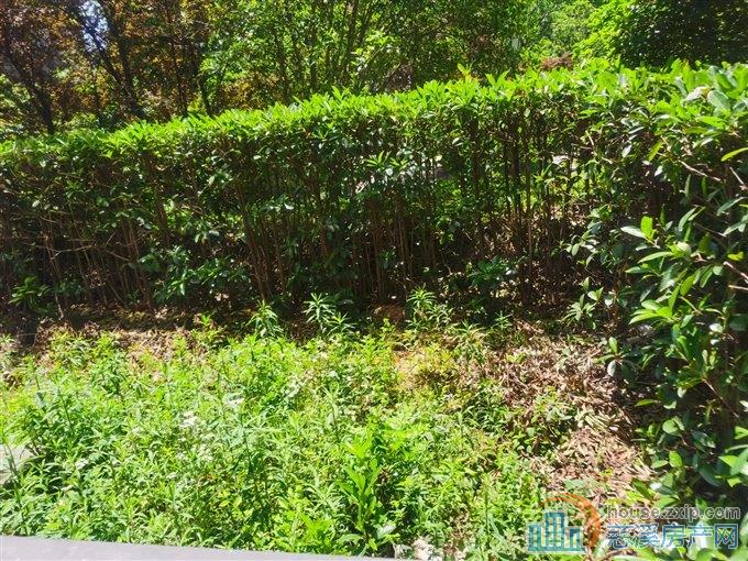 复地御溪雅苑 复式301平方 带前后花园