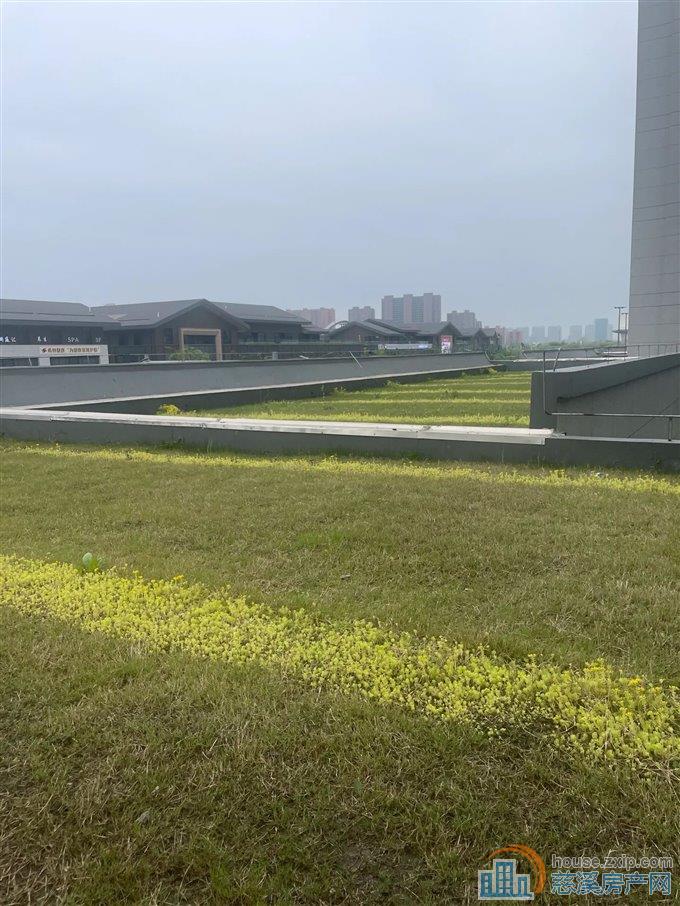 新河坊洋房 泊蔚里 楼.王位置 大露台