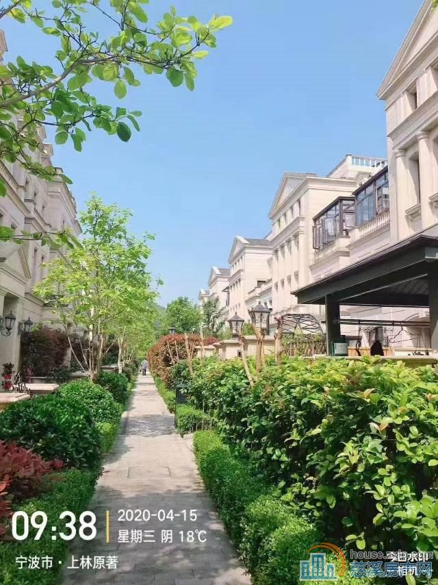 上林原著联排别墅460平精装568.8万